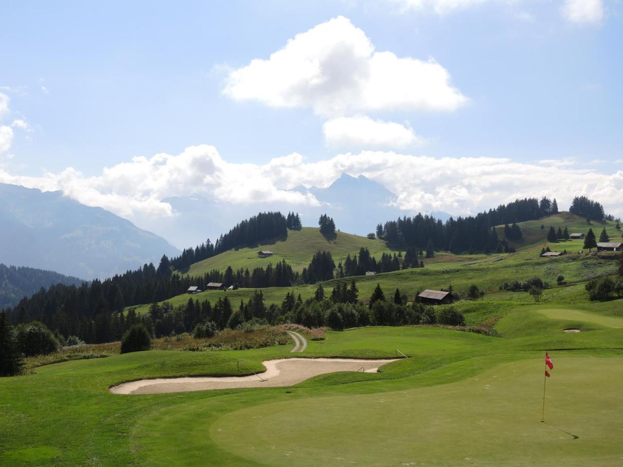 Residence Royalp - Appartement 22A Villars-sur-Ollon Luaran gambar